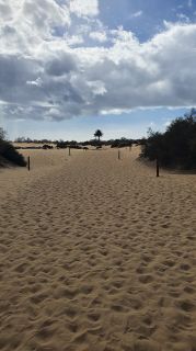 2023-GC--Mapalomas dunas-S123-053.jpg